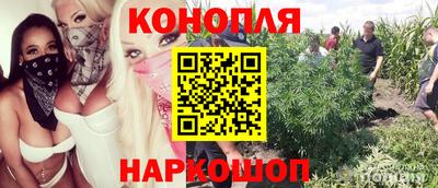 гашик Ликино-Дулёво