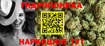 гашик Ликино-Дулёво