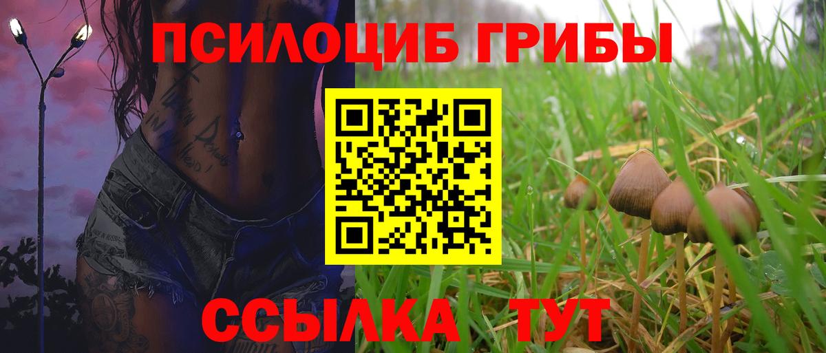 Галлюциногенные грибы мицелий  Вход с VPN  дарнет шоп  Иваново 