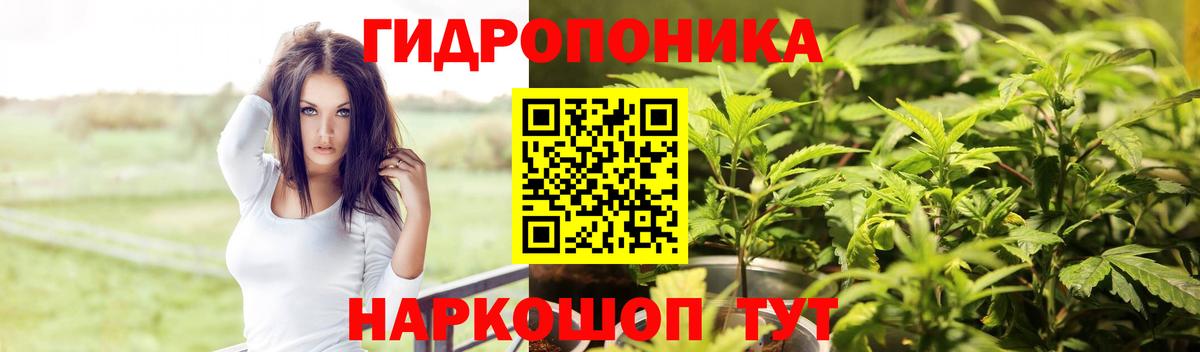 Каннабис OG Kush  Шишки марихуана LSD WEED  Иваново  Каннабис конопля  Вход с VPN  Бошки марихуана марихуана 